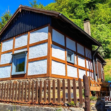 Arode Huette Harzilein - Romantic Tiny House On The Edge Of The Forest Zorge エクステリア 写真