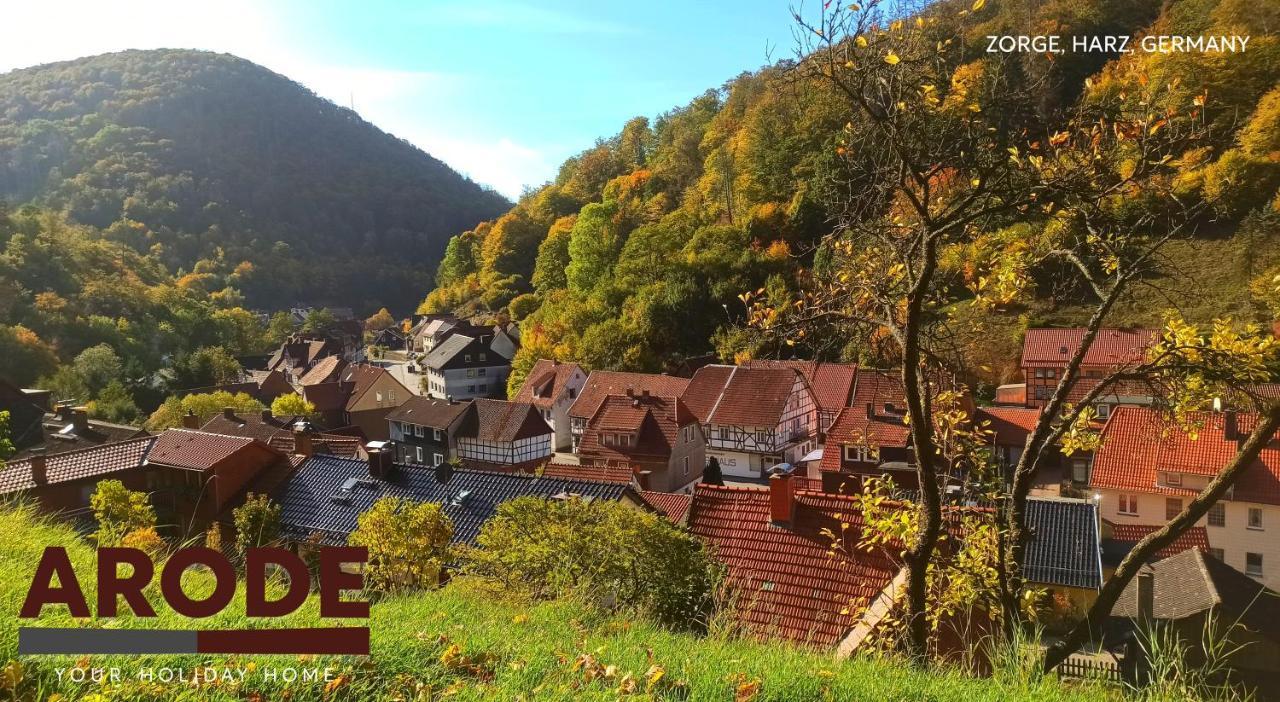 Arode Huette Harzilein - Romantic Tiny House On The Edge Of The Forest Zorge エクステリア 写真