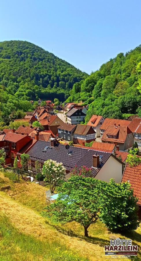 Arode Huette Harzilein - Romantic Tiny House On The Edge Of The Forest Zorge エクステリア 写真