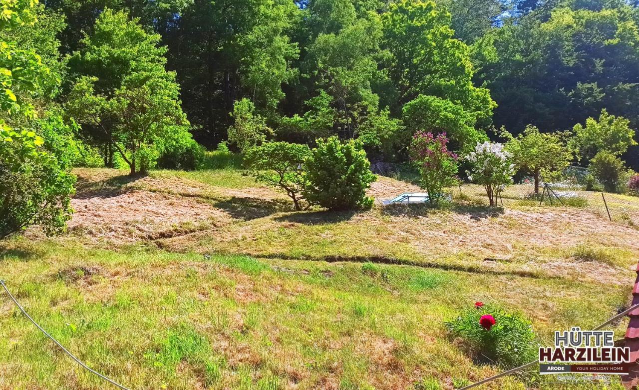 Arode Huette Harzilein - Romantic Tiny House On The Edge Of The Forest Zorge エクステリア 写真